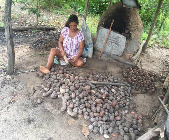 Mulher quebrando coco babaçu em Vargem Grande